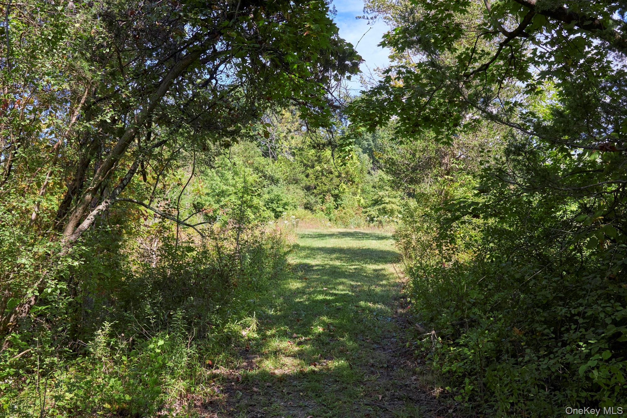 Mill Road Rhinebeck, NY 12572 - Photo 8 of 15 View of woods