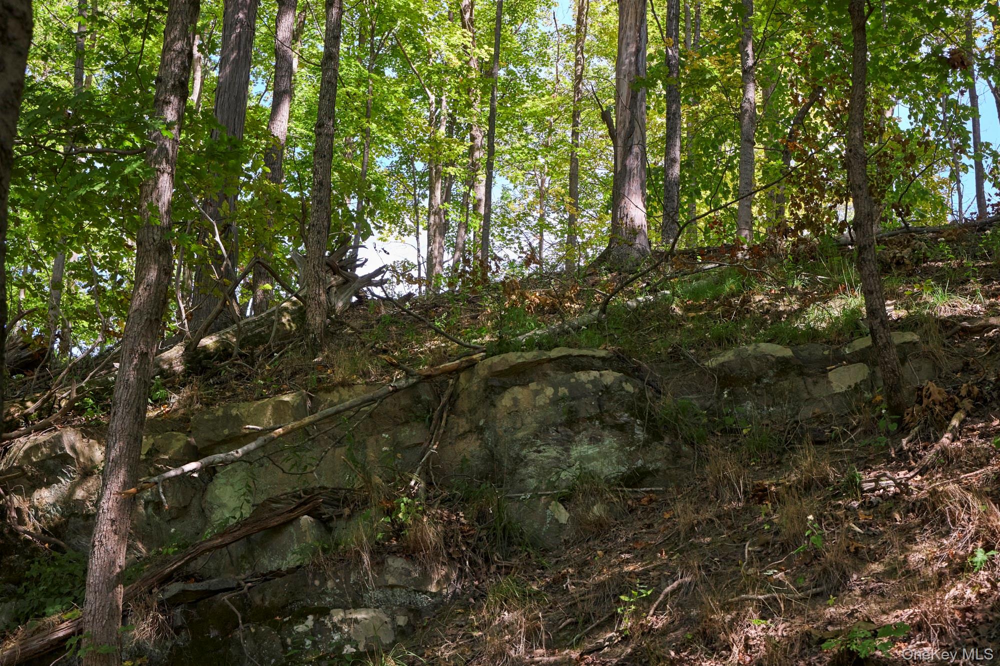 Mill Road Rhinebeck, NY 12572 - Photo 9 of 15 View of nature