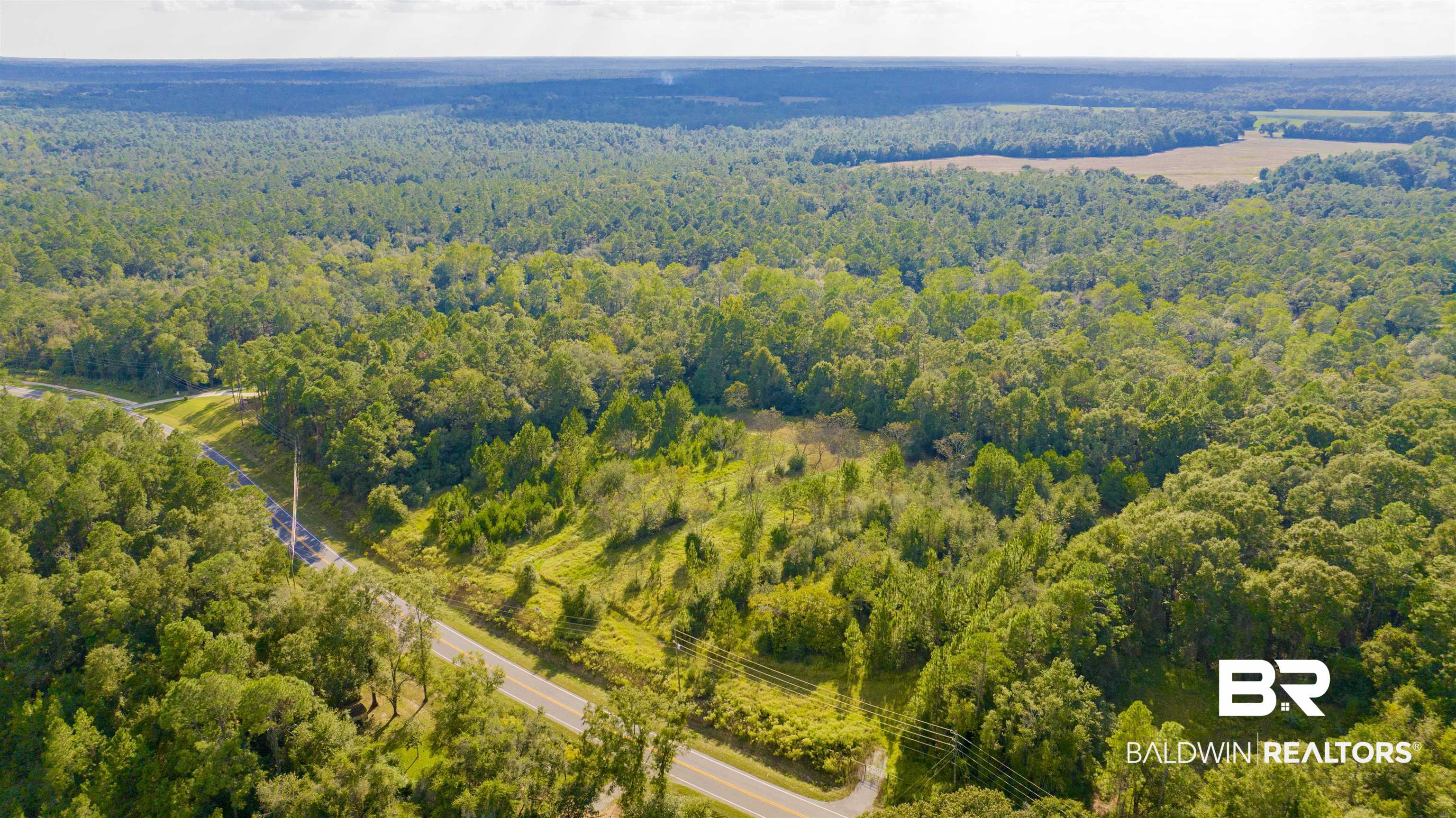 0 West Johnson Road South Mobile, AL 36695 - Photo 6 of 8