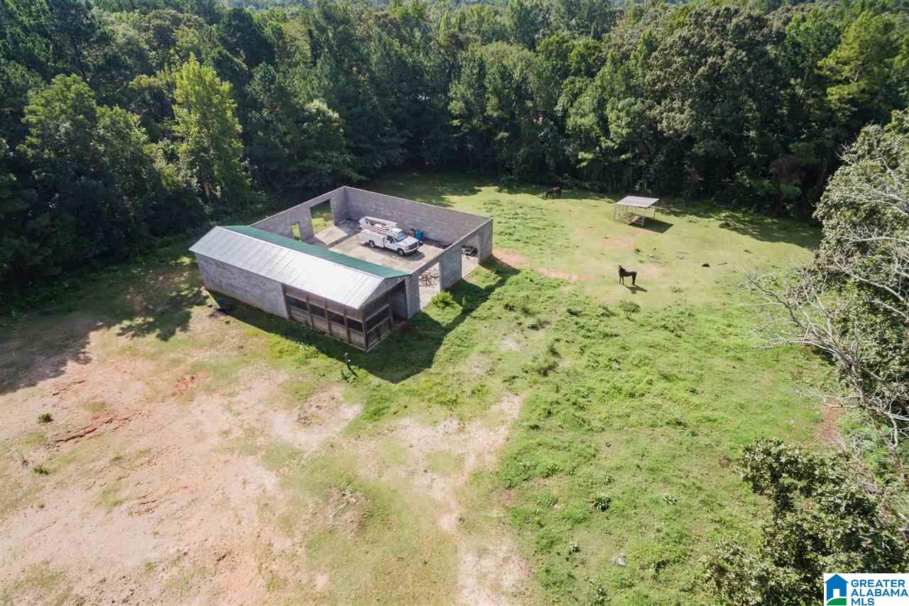 950 Deer Trace Road Pell City, AL 35125 - Photo 43 of 50