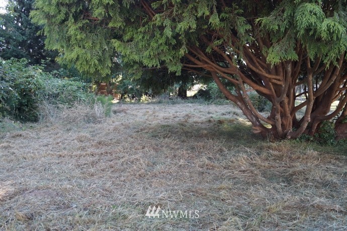 1105 Harding Road Aberdeen, WA 98520 - Photo 4 of 19 Gallery Image 4