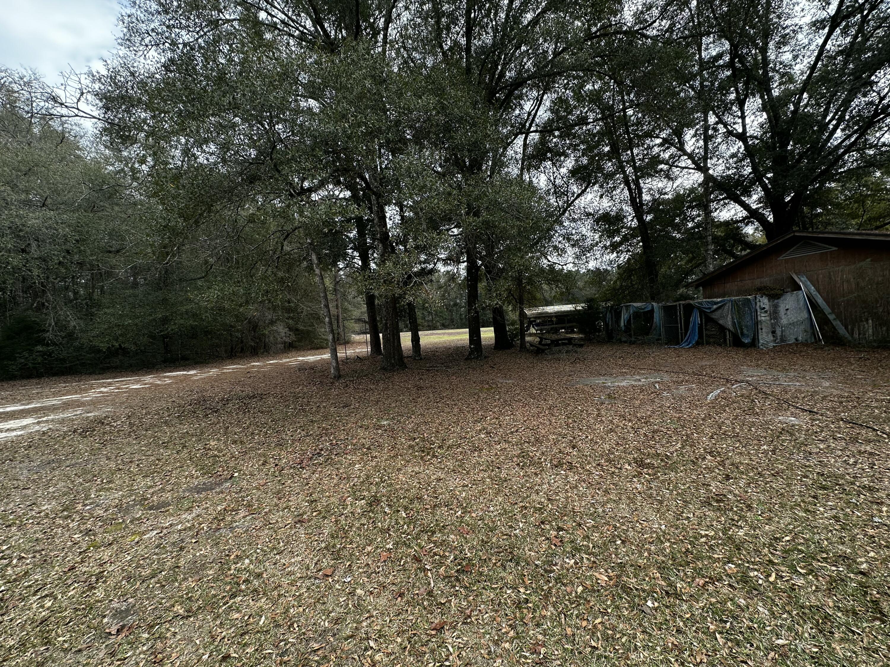 5895 Pineforest Drive Crestview, FL 32539 - Photo 17 of 23 a view of a yard with a tree