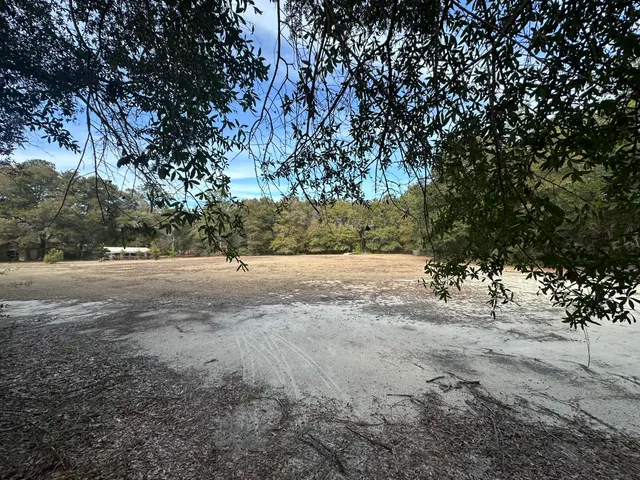 a view of dirt yard with a tree