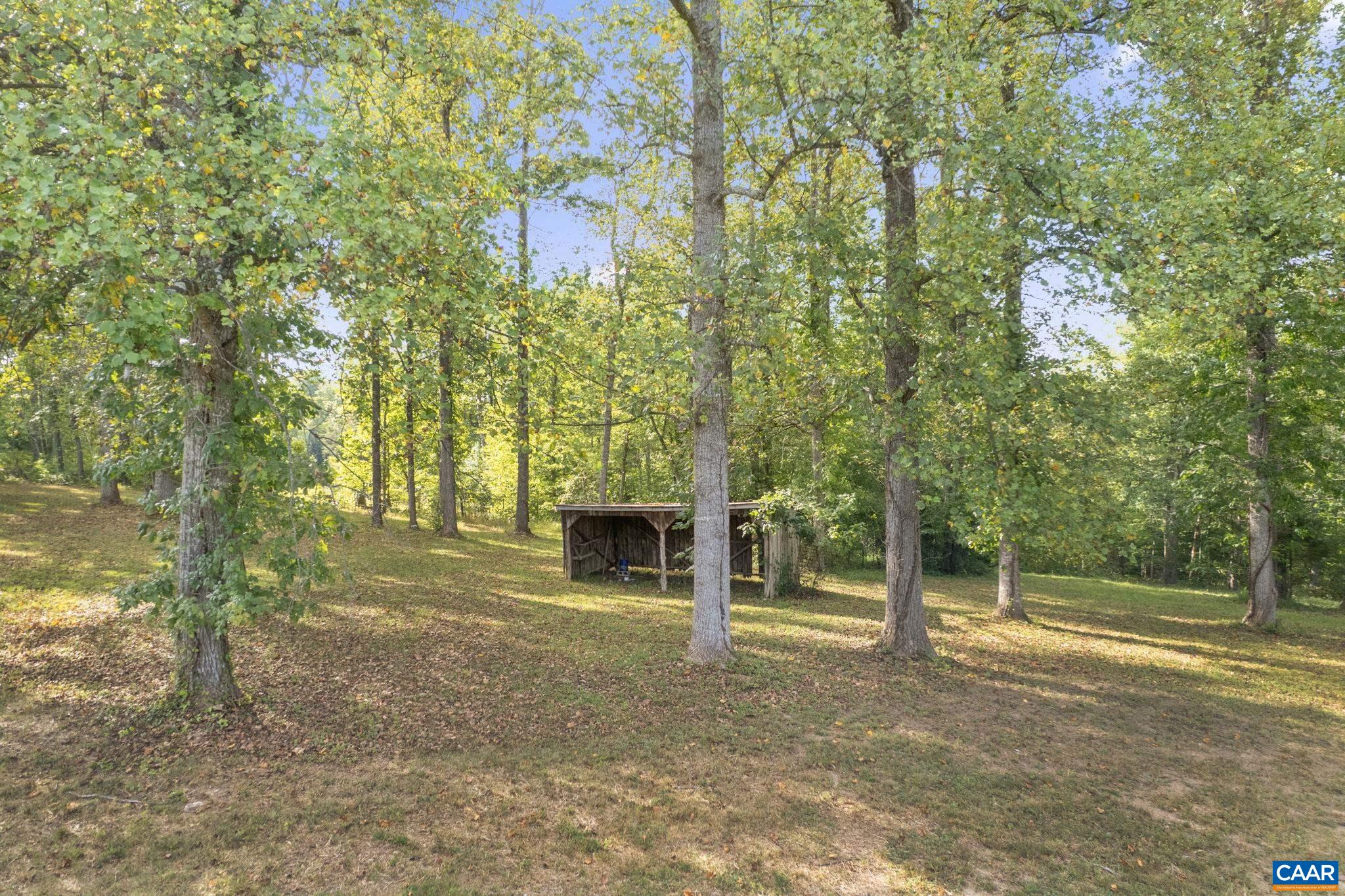 3209 Rolling Road Scottsville, VA 24590 - Photo 54 of 66 Gallery Image 54