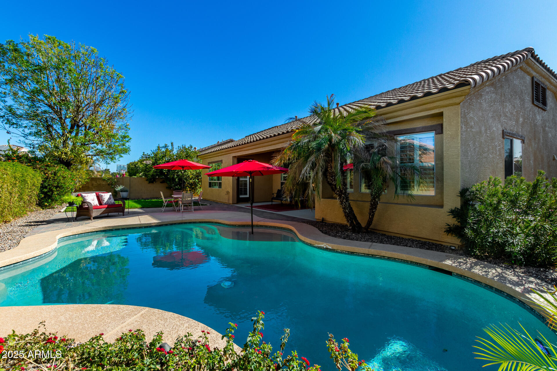 1246 East Baranca Road Gilbert, AZ 85297 - Photo 30 of 38 pool