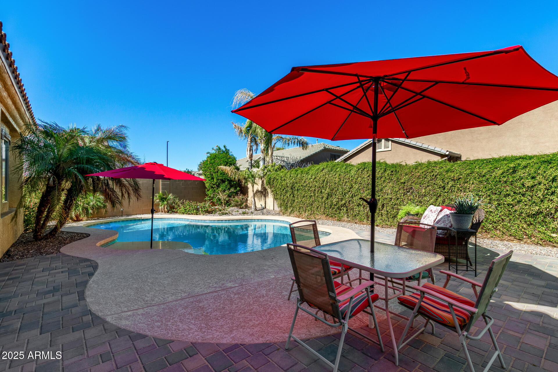 1246 East Baranca Road Gilbert, AZ 85297 - Photo 31 of 38 backyard and pool