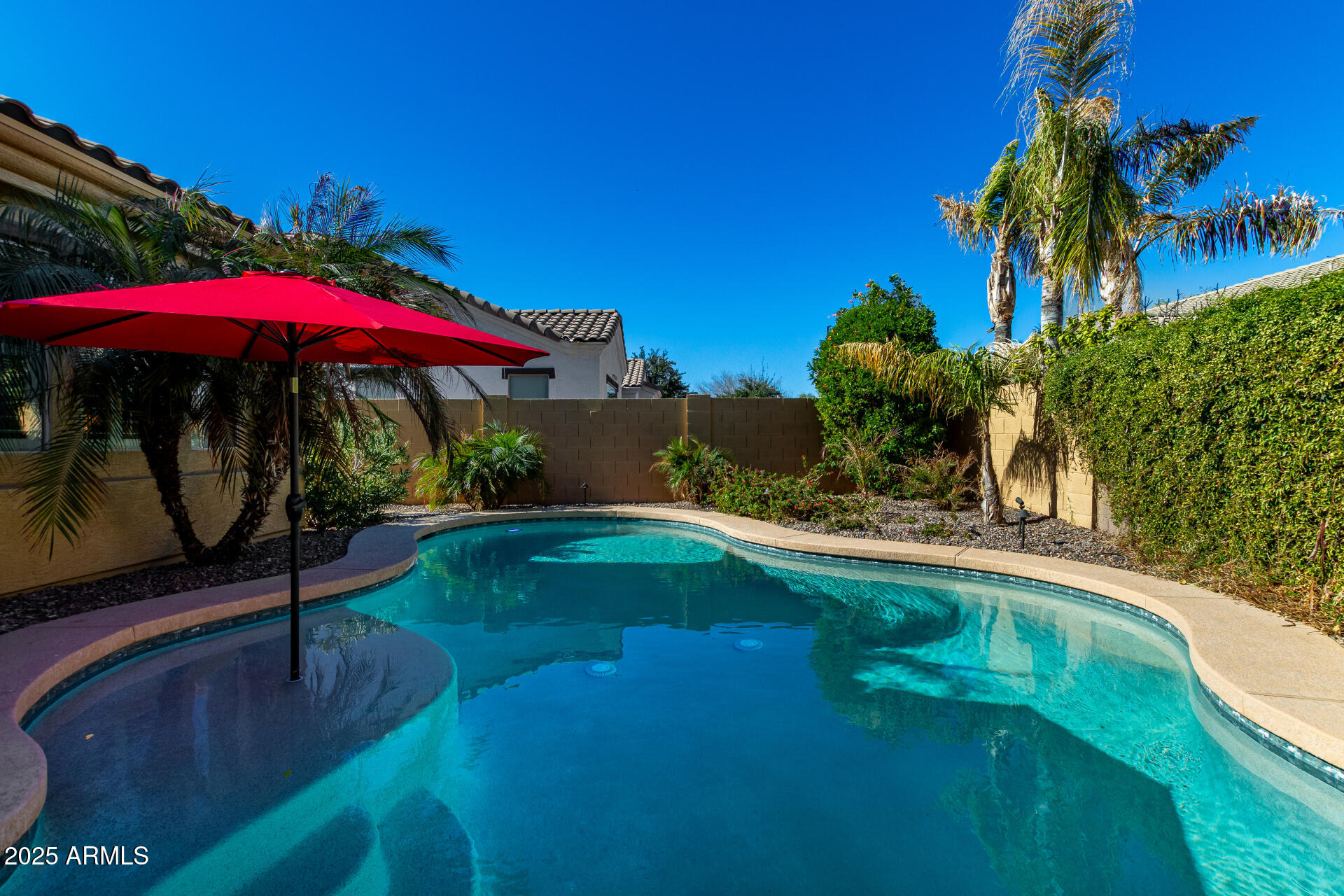 1246 East Baranca Road Gilbert, AZ 85297 - Photo 33 of 38 pool