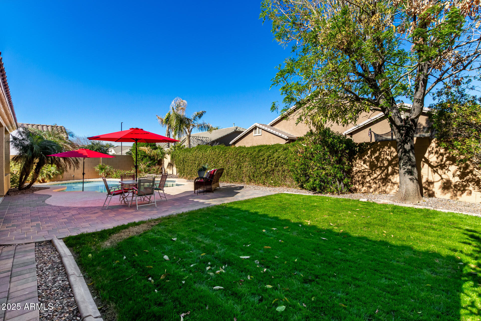 1246 East Baranca Road Gilbert, AZ 85297 - Photo 34 of 38 backyard