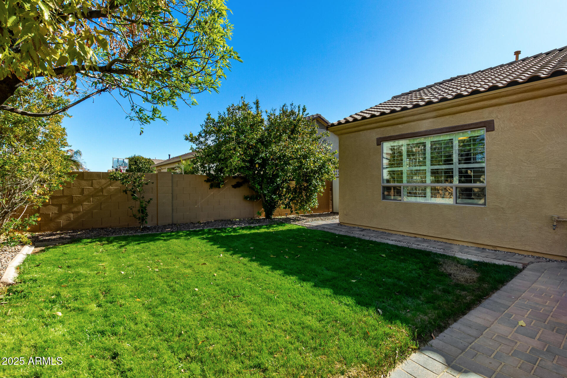 1246 East Baranca Road Gilbert, AZ 85297 - Photo 36 of 38 backyard