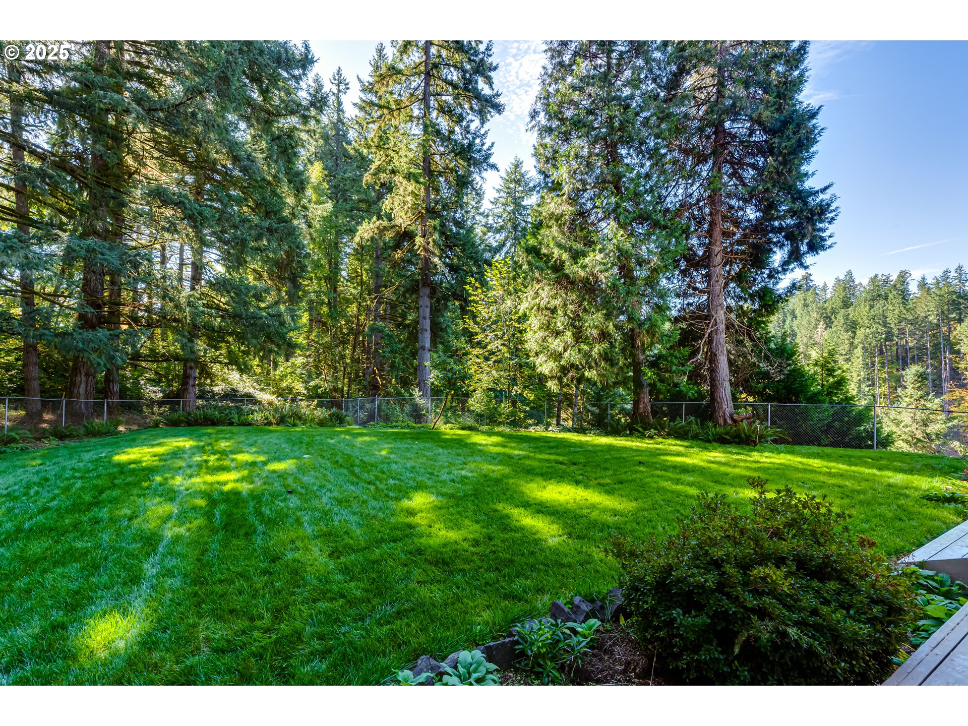 27415 Siuslaw Road Lorane, OR 97451 - Photo 40 of 48 a view of a lush green space