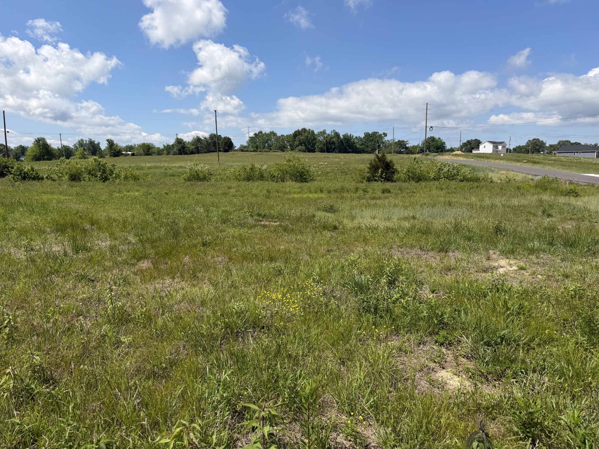 142 Reece Road Baxter, TN 38544 - Photo 1 of 4 a view of a city