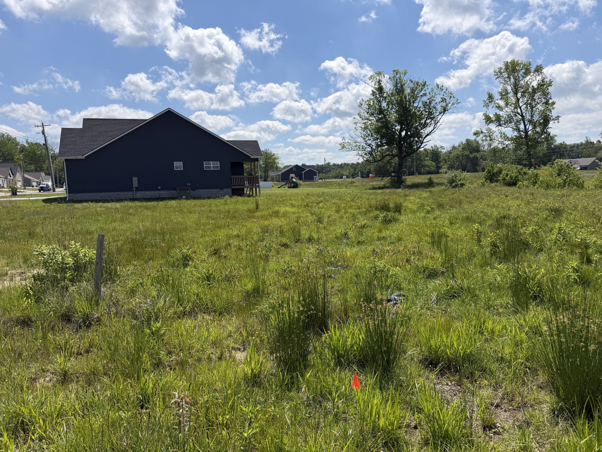 142 Reece Road Baxter, TN 38544 - Photo 2 of 4 a big yard with lots of green space