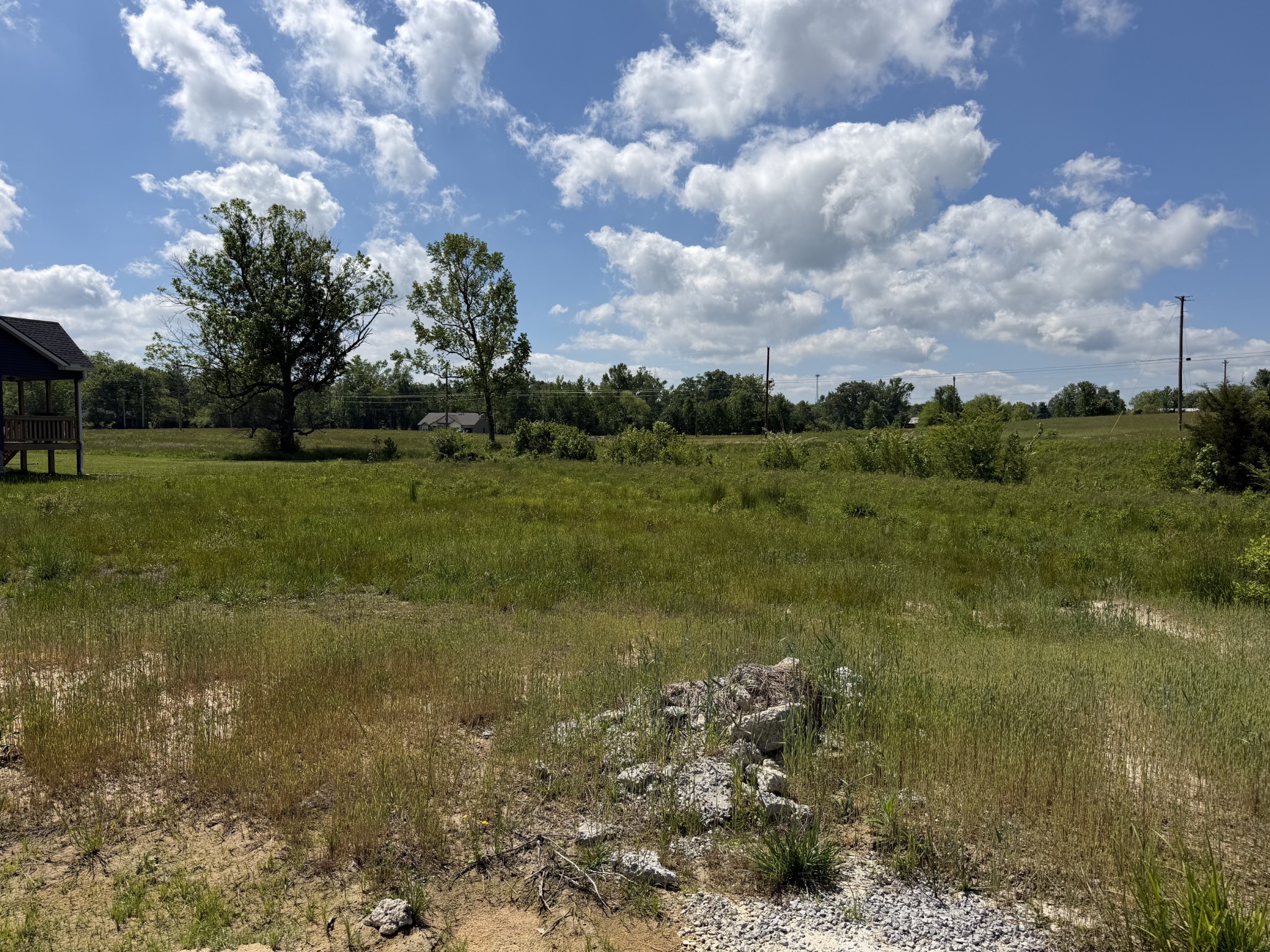 142 Reece Road Baxter, TN 38544 - Photo 3 of 4 a view of a big yard with lots of green space