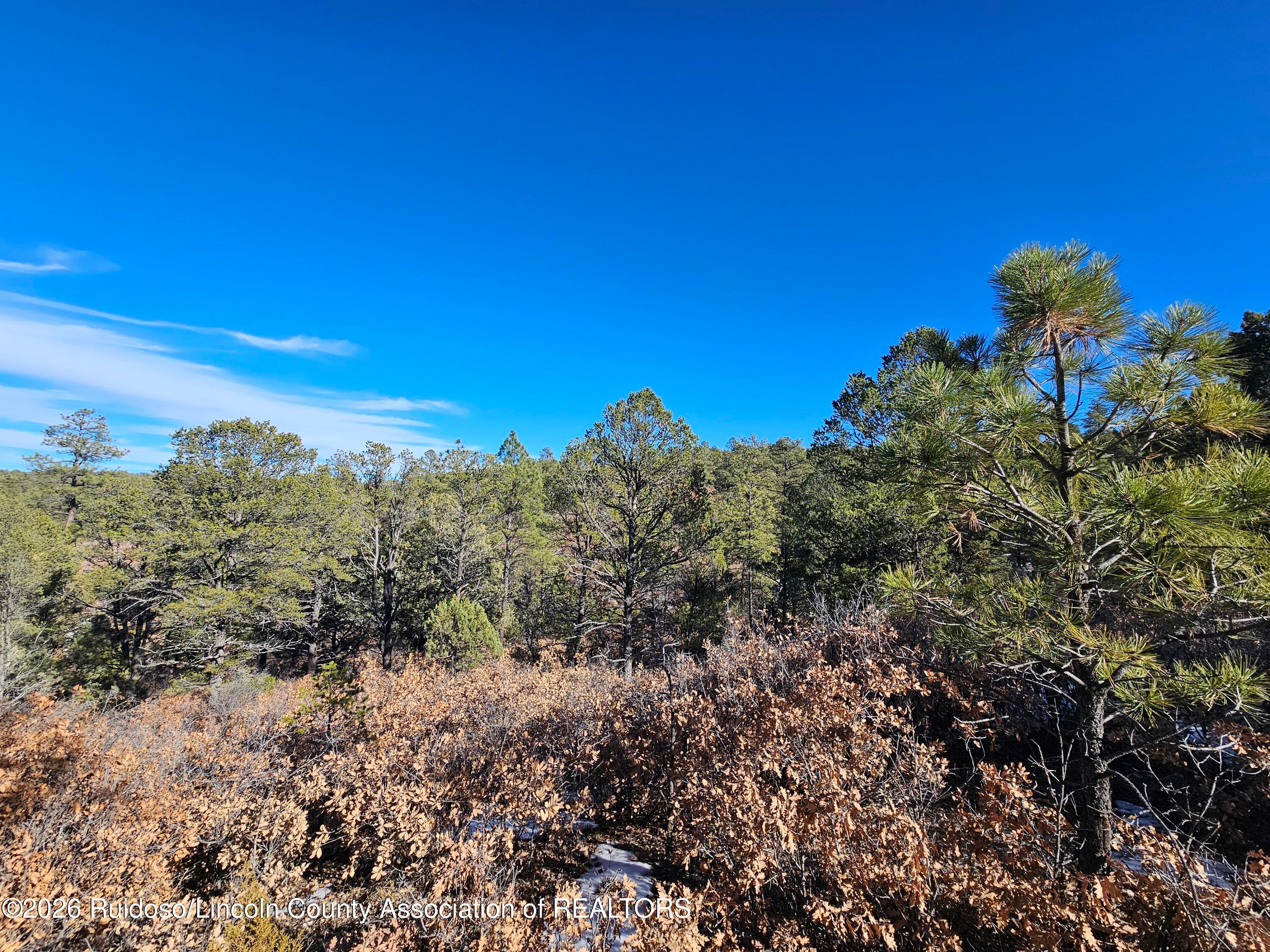 10s Range 14e Sec 33 Ruidoso, NM 88345 - Photo 7 of 10 Gallery Image 7
