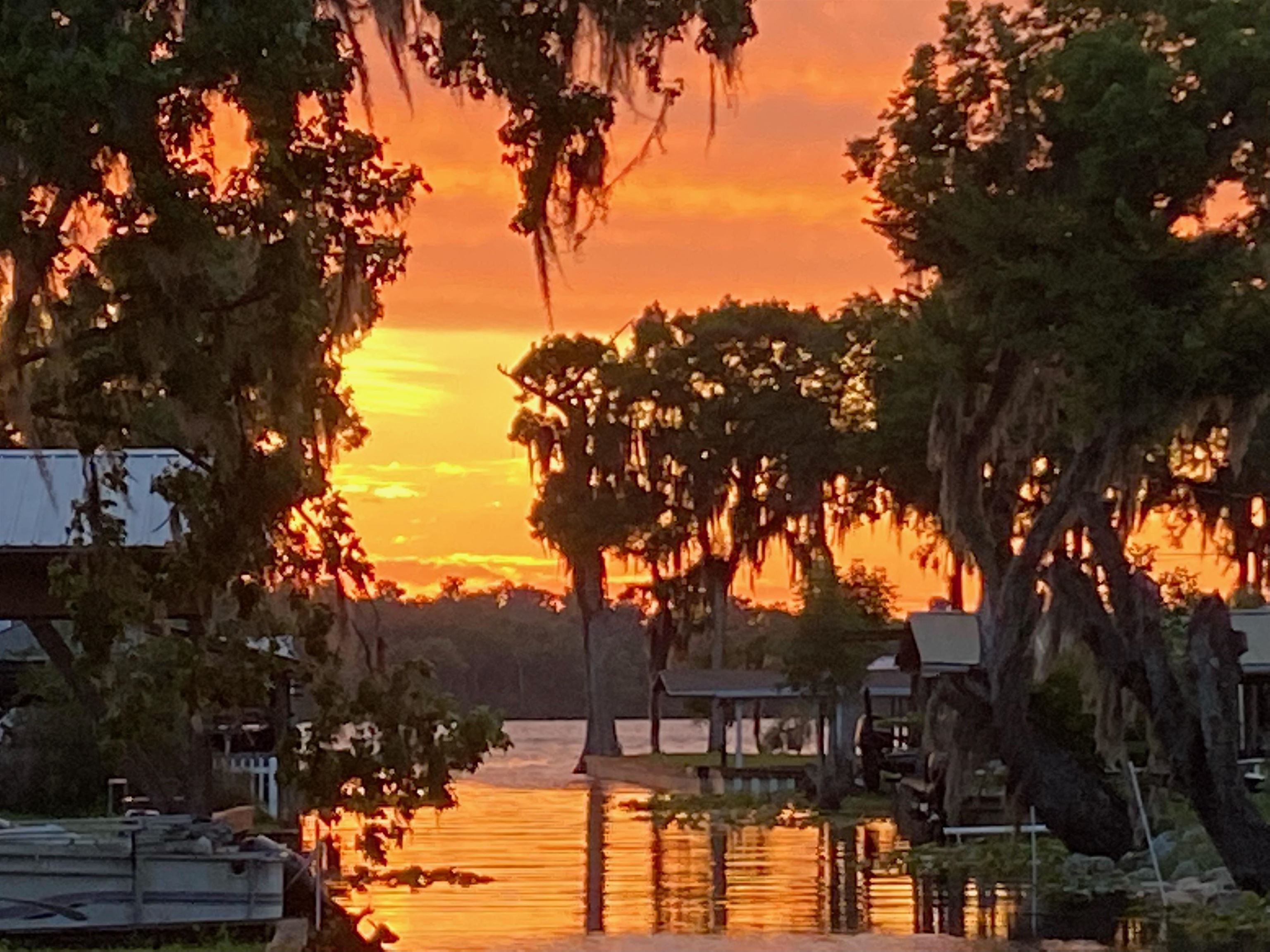 142 Hick's Avenue Crescent City, FL 32112 - Photo 16 of 16 a view of a lake with a tree