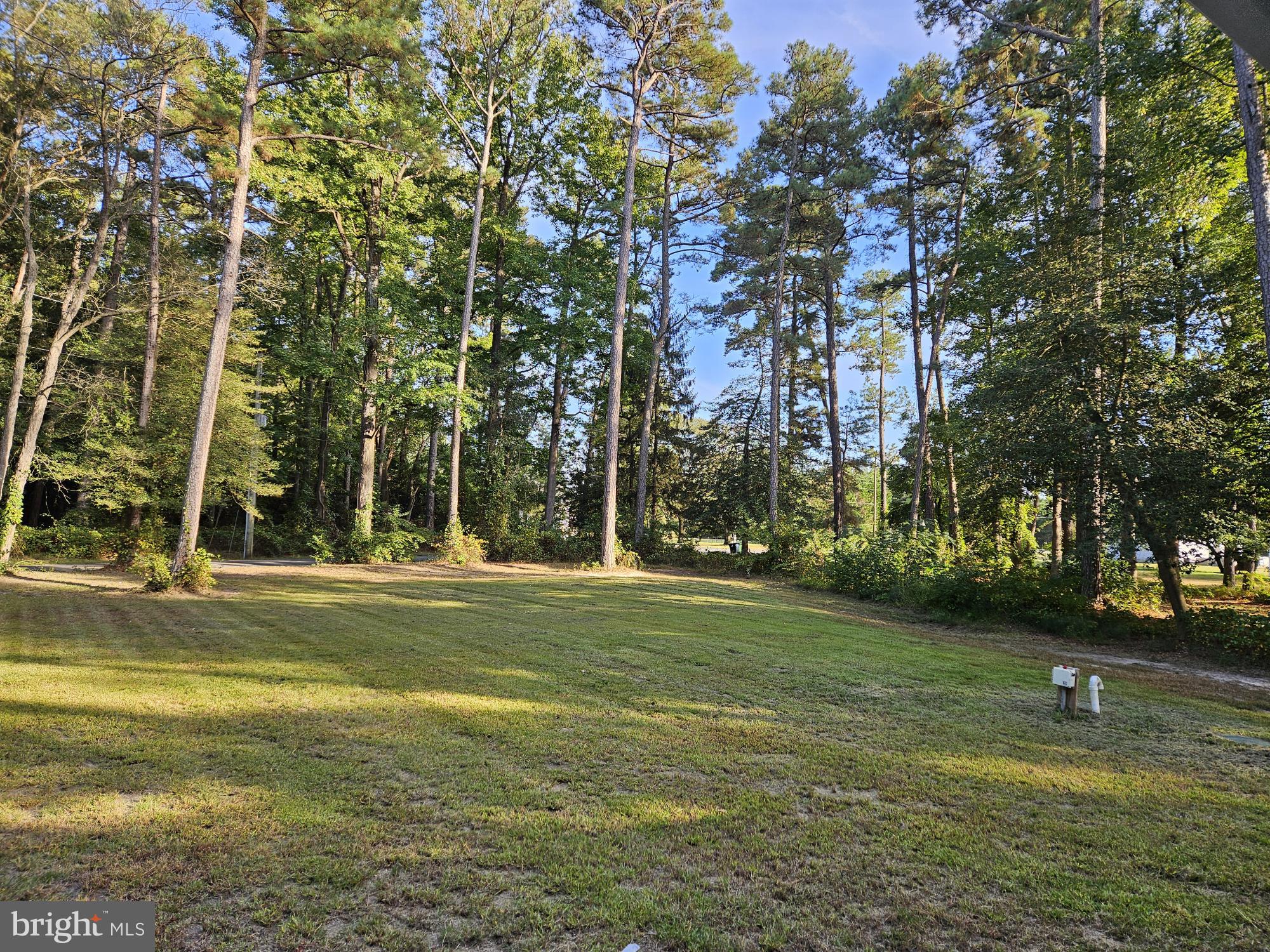 26300 Fire Tower Road Seaford, DE 19973 - Photo 4 of 52 a view of a golf course with a trees