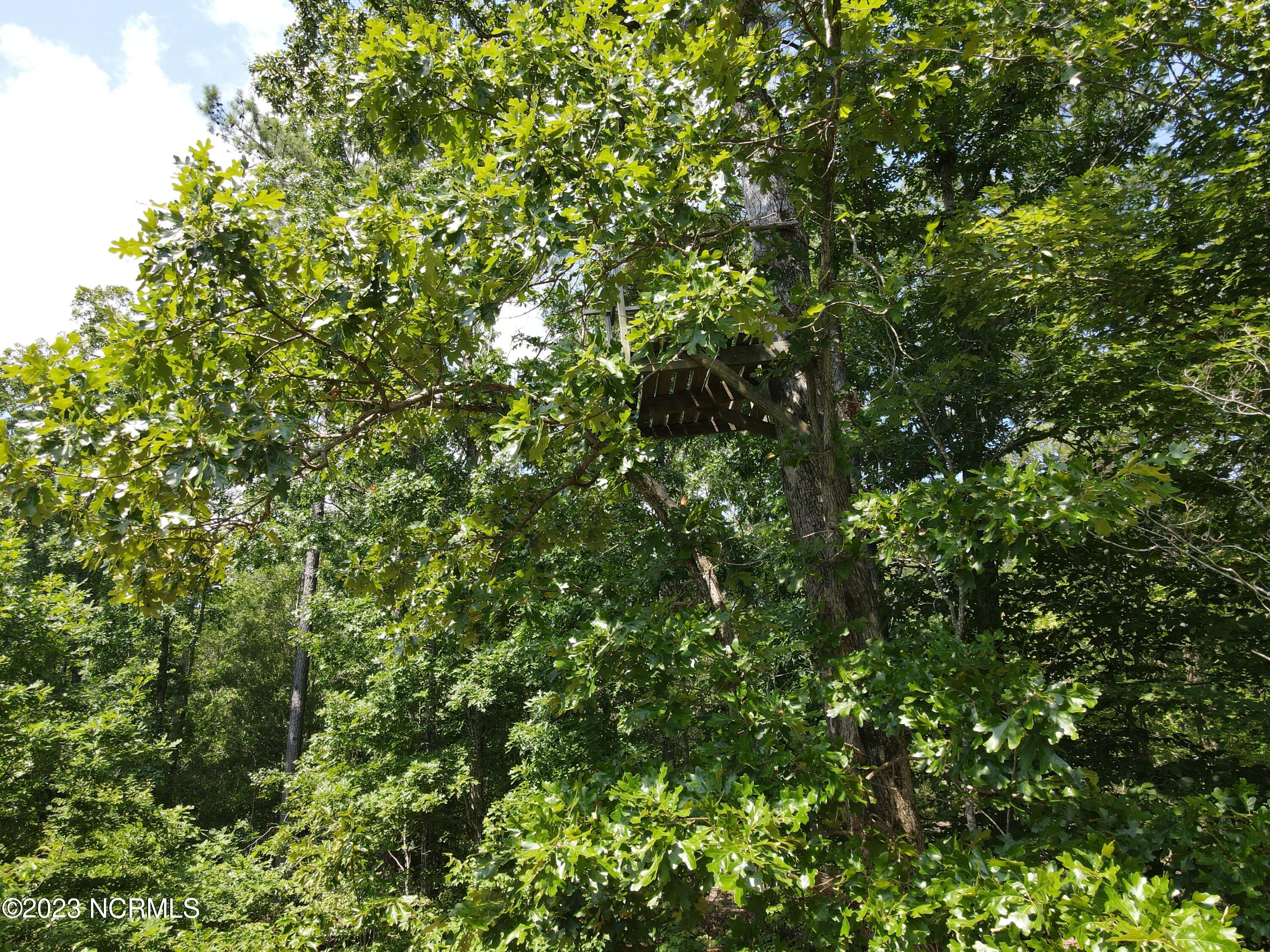472 Eaton Ferry Road Littleton, NC 27850 - Photo 53 of 86 EFR 37