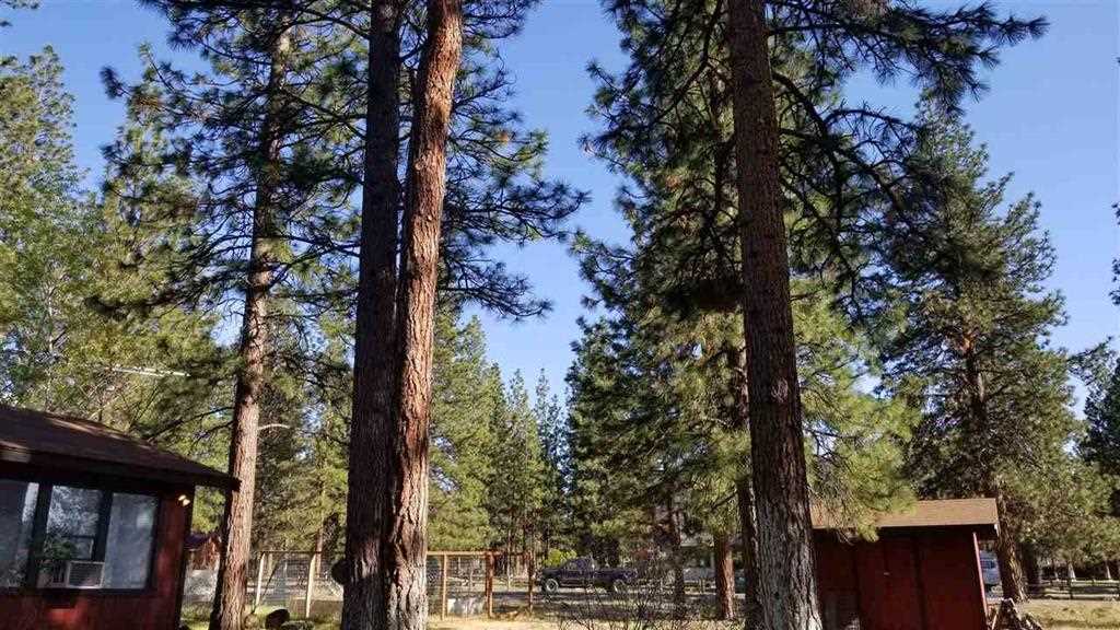 17912 Fisher Road Weed, CA 96094 - Photo 24 of 26 Gallery Image 24