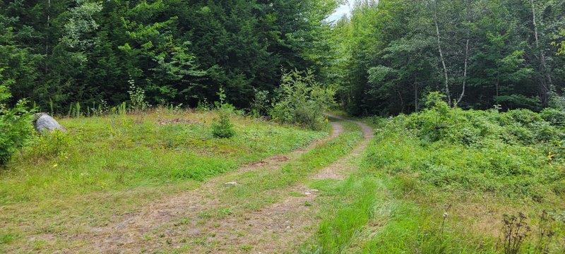 52 Stream Road Howland, ME 04448 - Photo 17 of 41 20230826_121152