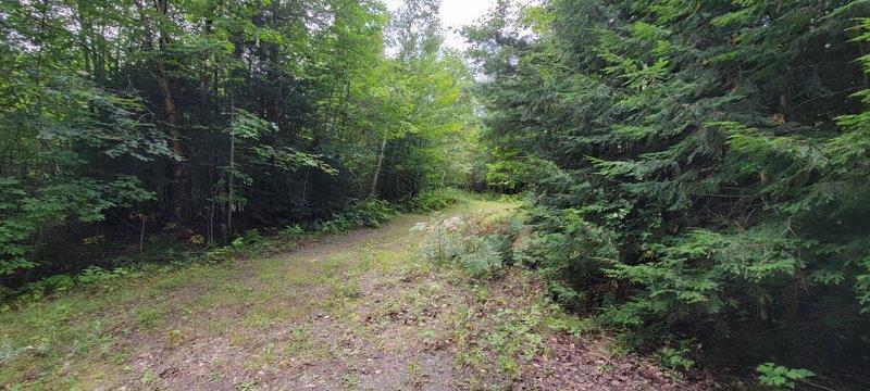 52 Stream Road Howland, ME 04448 - Photo 29 of 41 20230826_120521