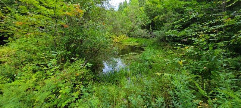 52 Stream Road Howland, ME 04448 - Photo 30 of 41 20230826_120601