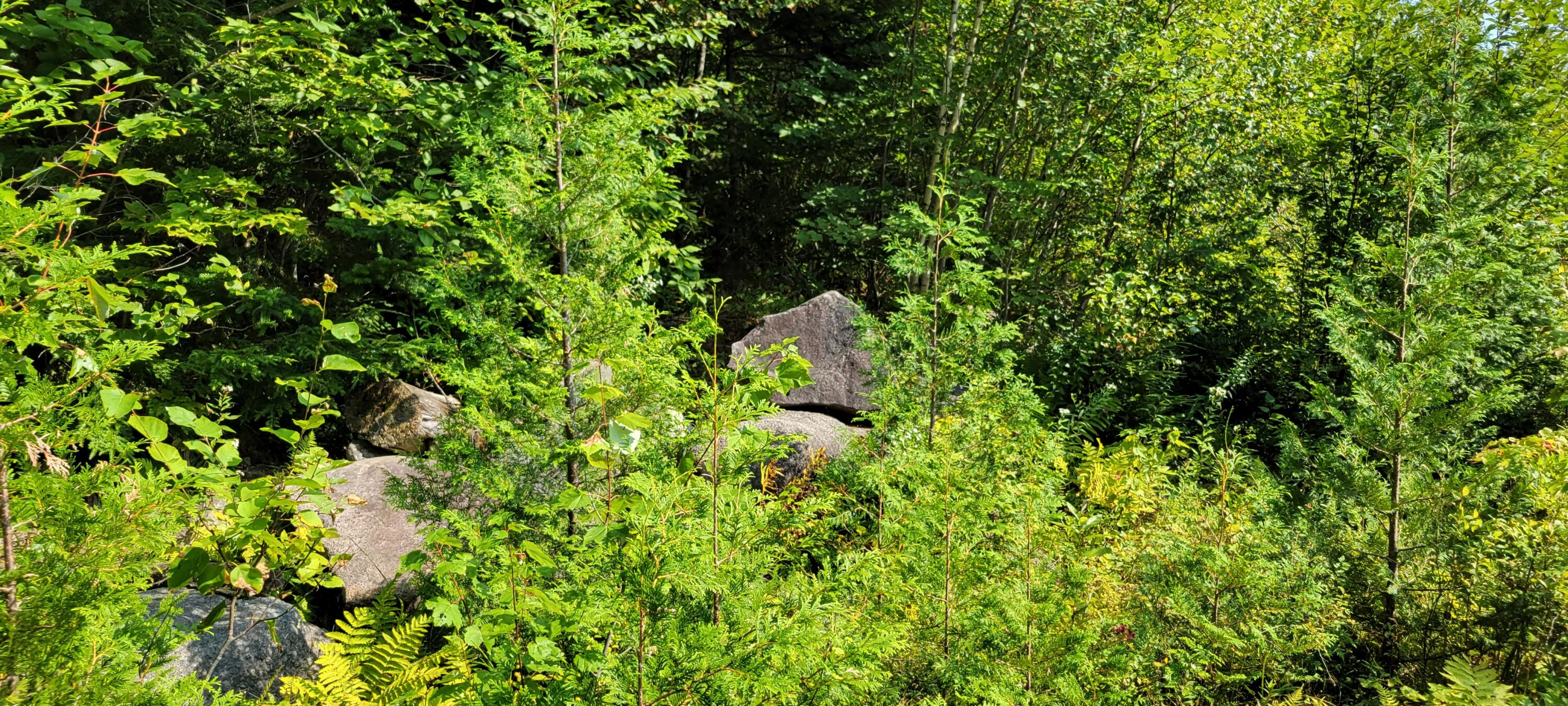 52 Stream Road Howland, ME 04448 - Photo 31 of 41 20230901_145610