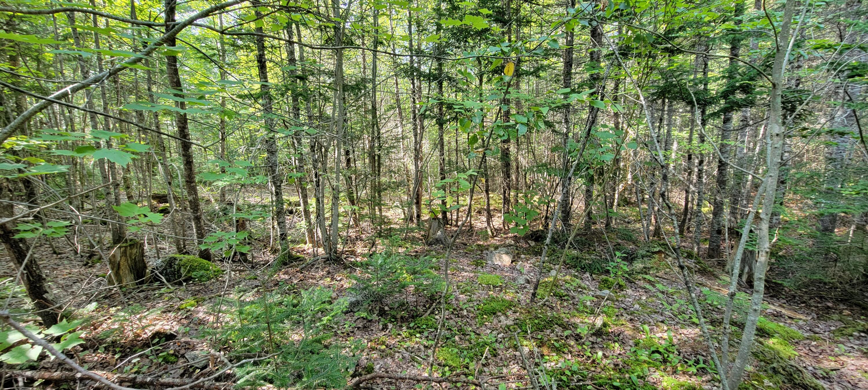 52 Stream Road Howland, ME 04448 - Photo 32 of 41 20230901_143503