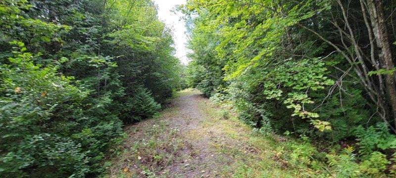 52 Stream Road Howland, ME 04448 - Photo 33 of 41 20230826_120607