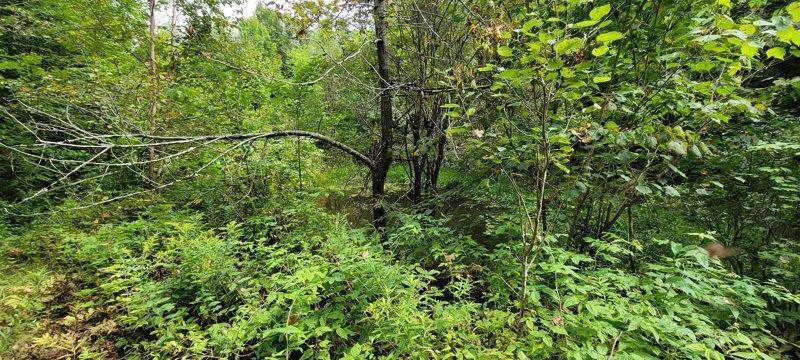 52 Stream Road Howland, ME 04448 - Photo 34 of 41 20230826_120620