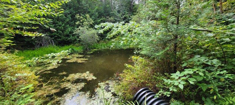 52 Stream Road Howland, ME 04448 - Photo 35 of 41 20230826_120649