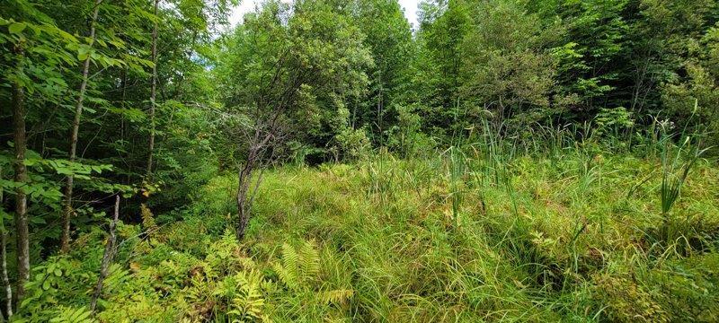 52 Stream Road Howland, ME 04448 - Photo 36 of 41 20230826_120707