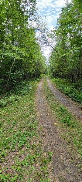 52 Stream Road Howland, ME 04448 - Photo 38 of 41 20230826_120857