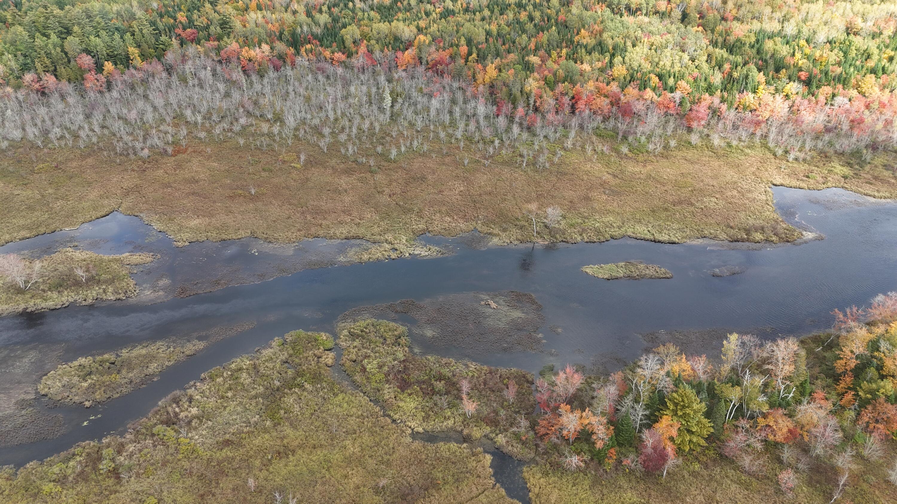 52 Stream Road Howland, ME 04448 - Photo 5 of 41 DJI_20231006132349_0020_D