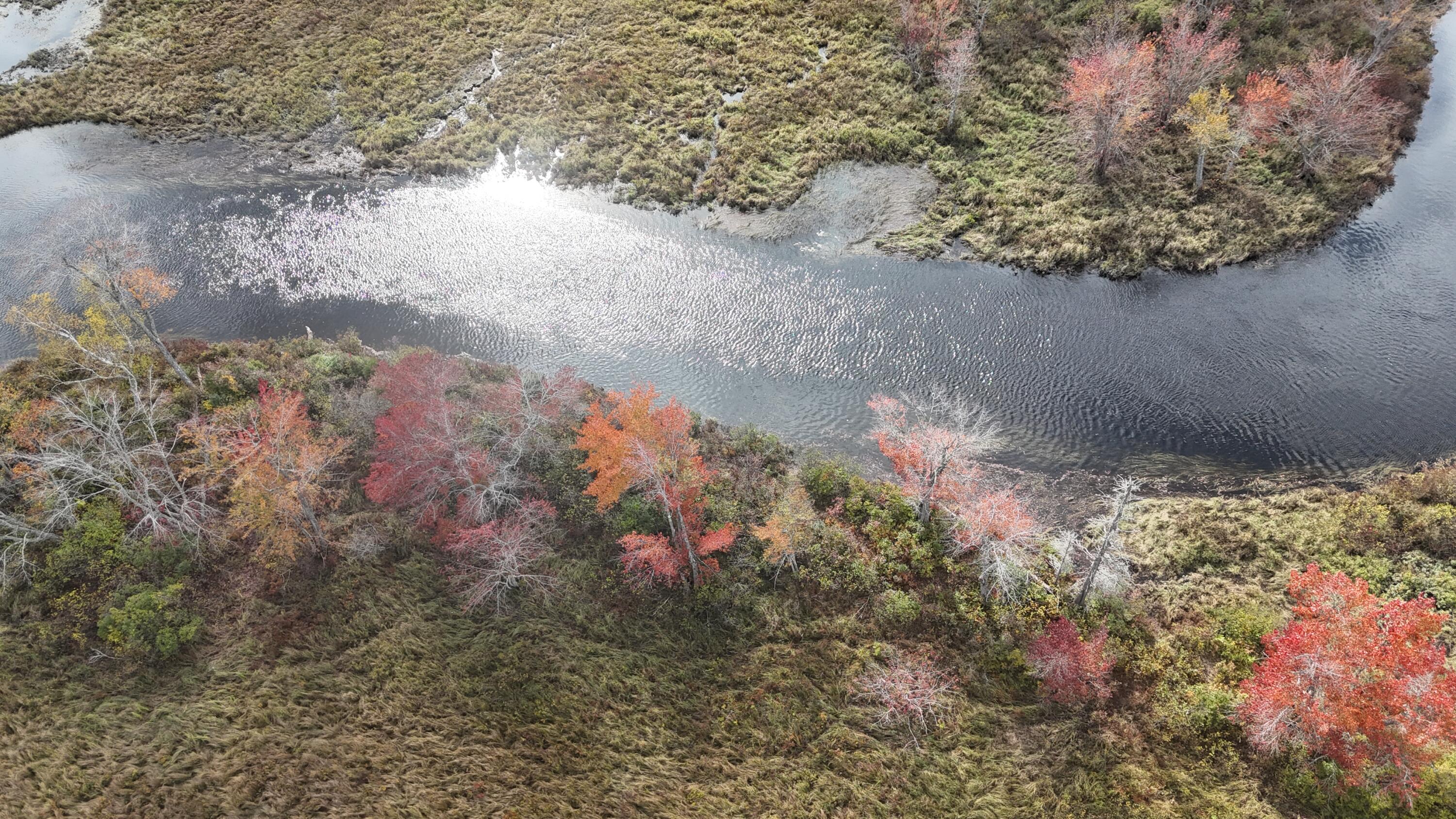 52 Stream Road Howland, ME 04448 - Photo 6 of 41 DJI_20231006131732_0019_D