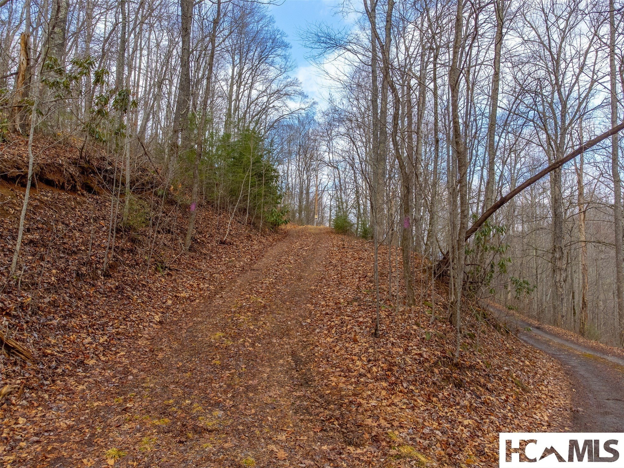 1241 Henry Road Franklin, NC 28734 - Photo 67 of 67 Gallery Image 67