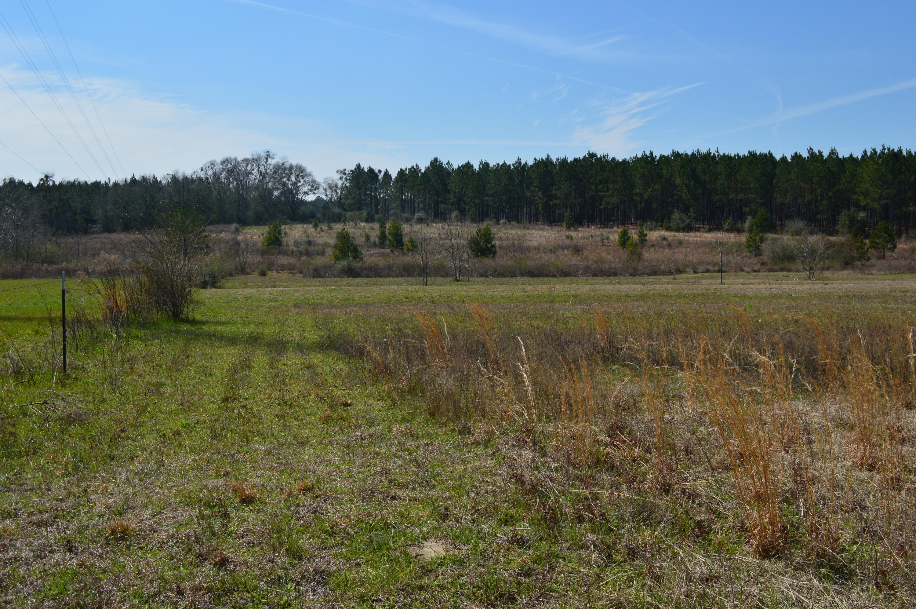 0 Steel Mill Creek Road Laurel Hill, FL 32567 - Photo 1 of 11 a view of a field with trees in the background