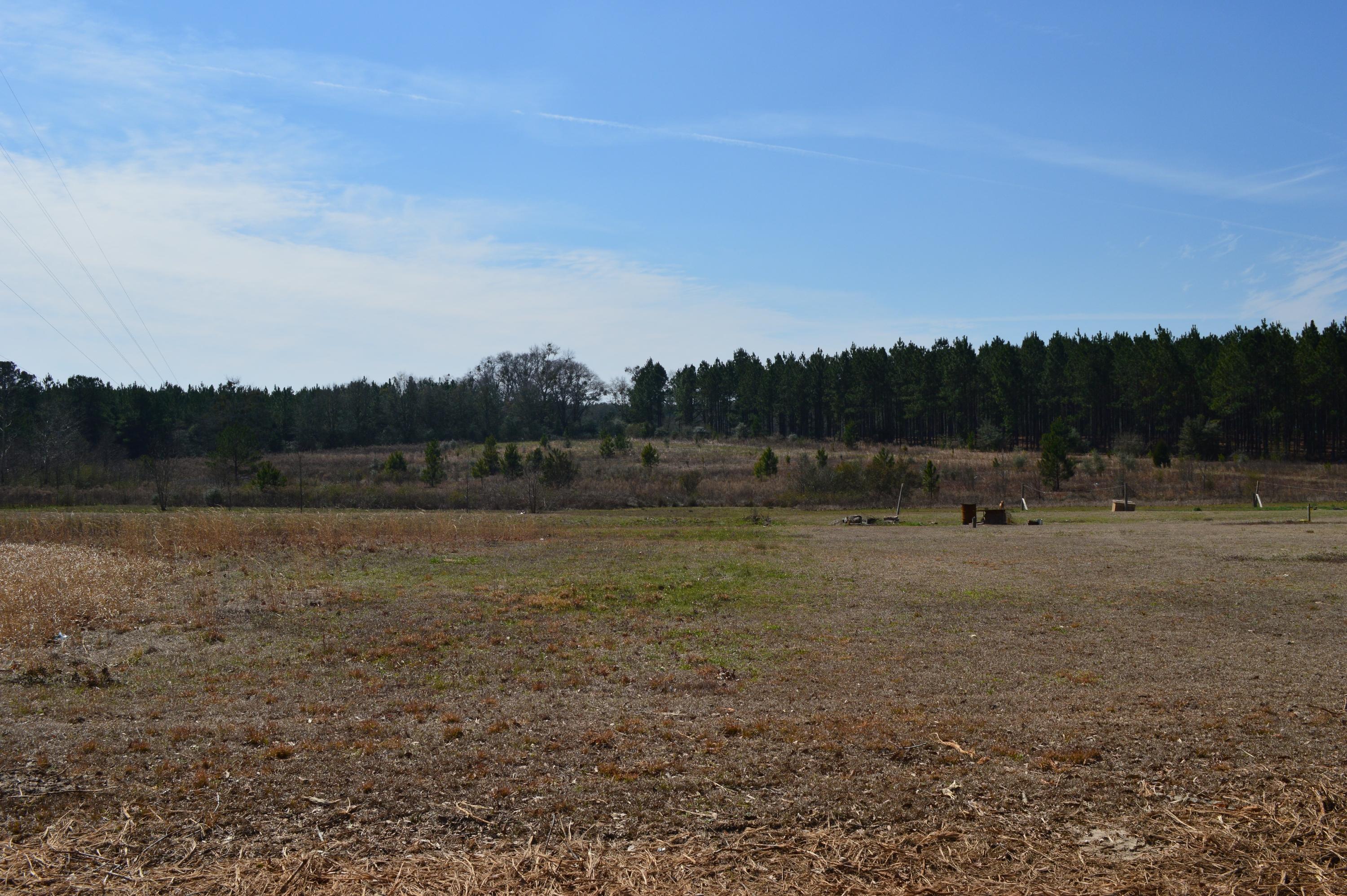 0 Steel Mill Creek Road Laurel Hill, FL 32567 - Photo 2 of 11 a view of a field with trees in the background