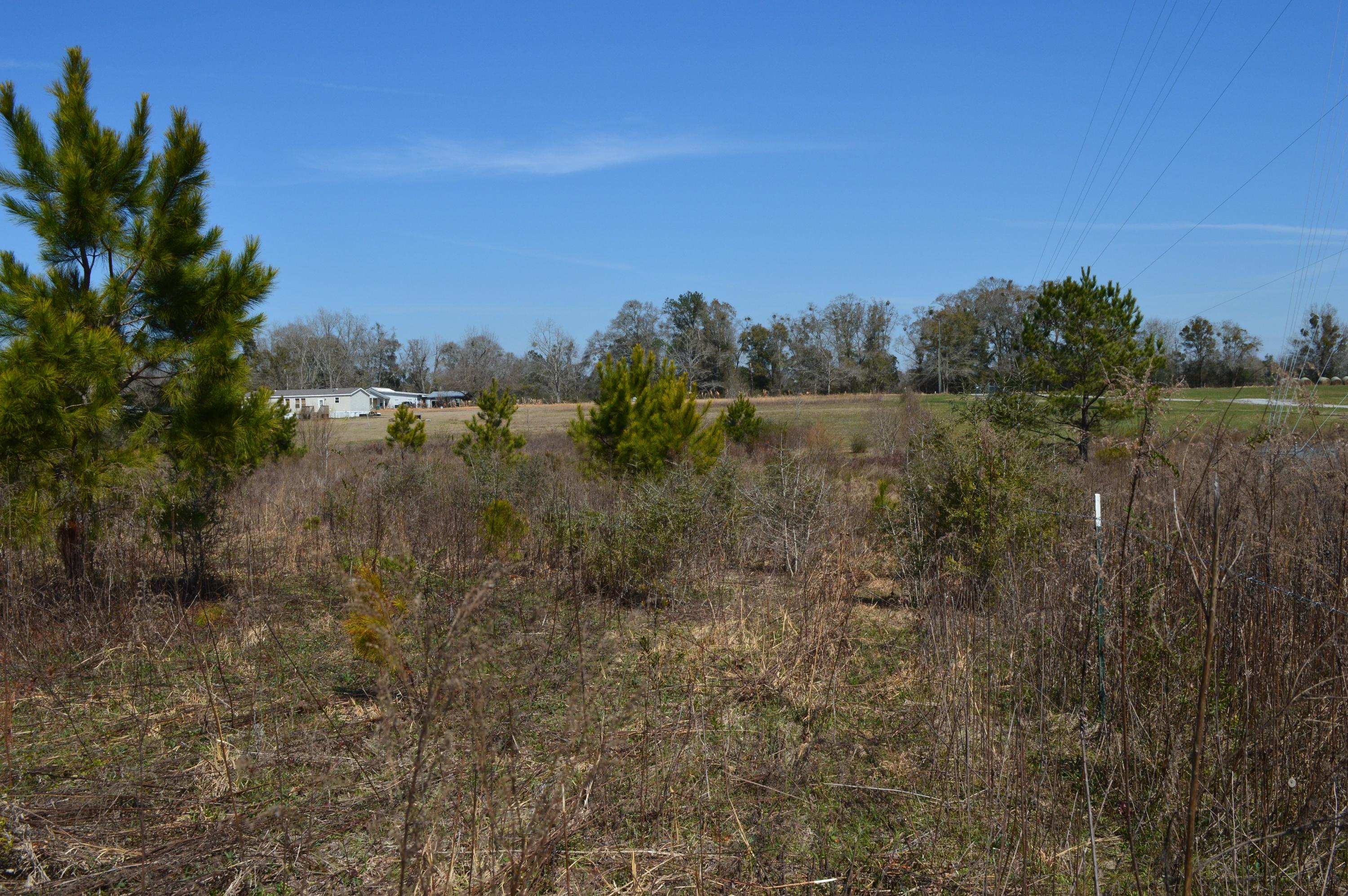 0 Steel Mill Creek Road Laurel Hill, FL 32567 - Photo 8 of 11 a view of lake with green space