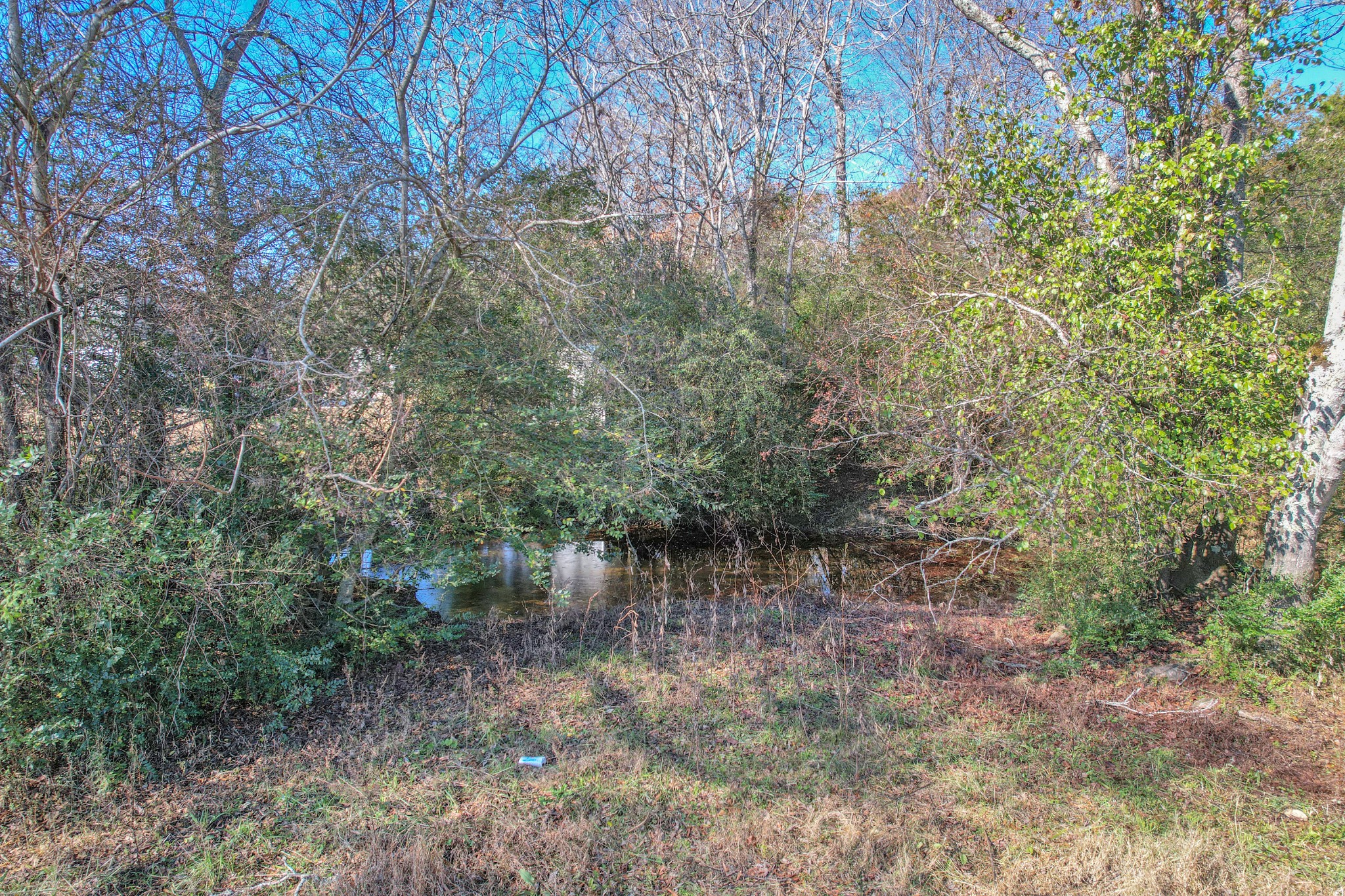 0 Turner Road Smithville, TN 37166 - Photo 13 of 34 a view of a forest with trees in the background