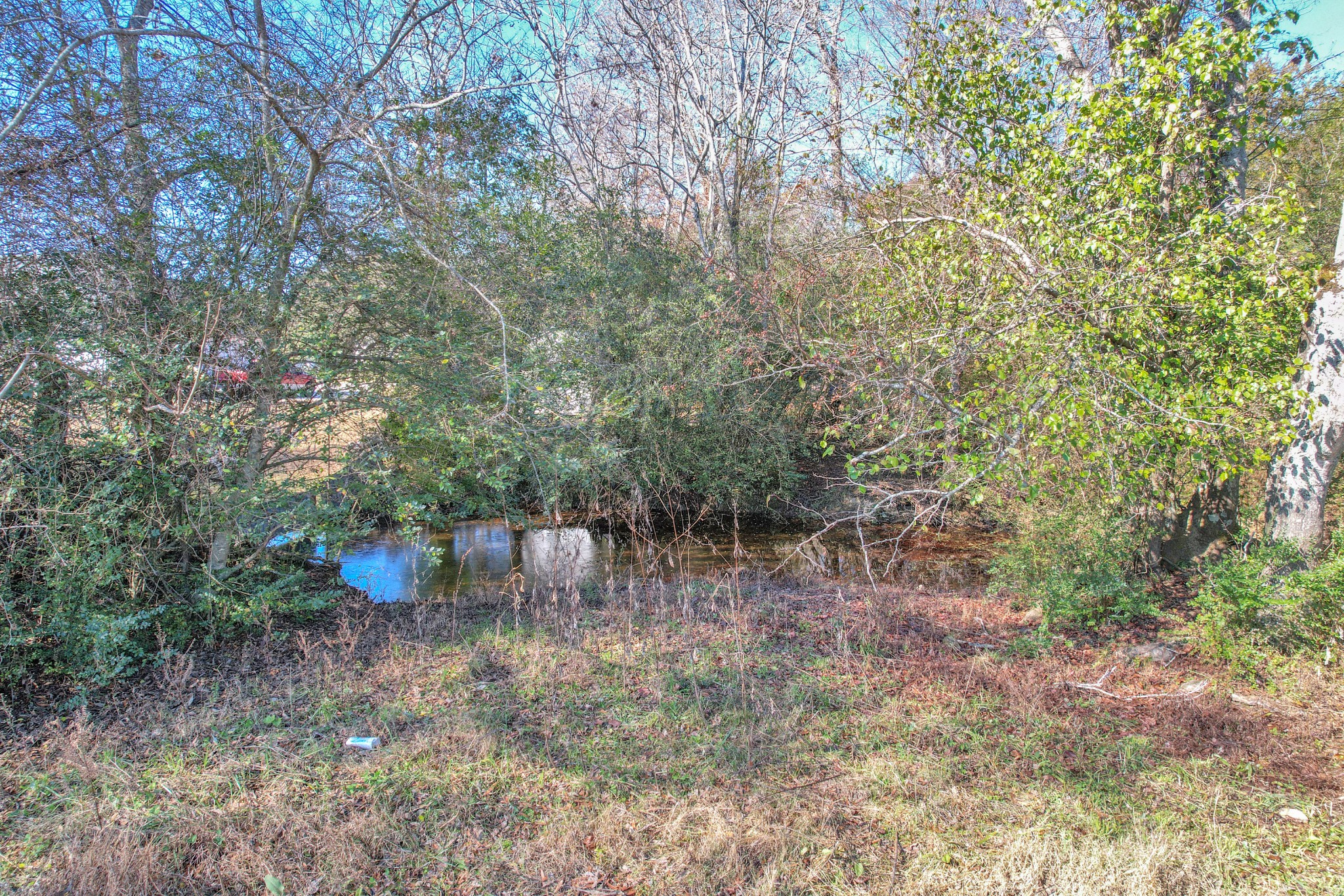 0 Turner Road Smithville, TN 37166 - Photo 14 of 34 a view of a forest with large trees