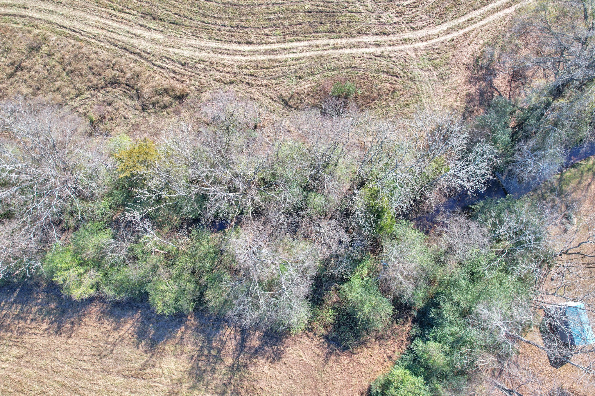 0 Turner Road Smithville, TN 37166 - Photo 28 of 34 a view of a forest with a house