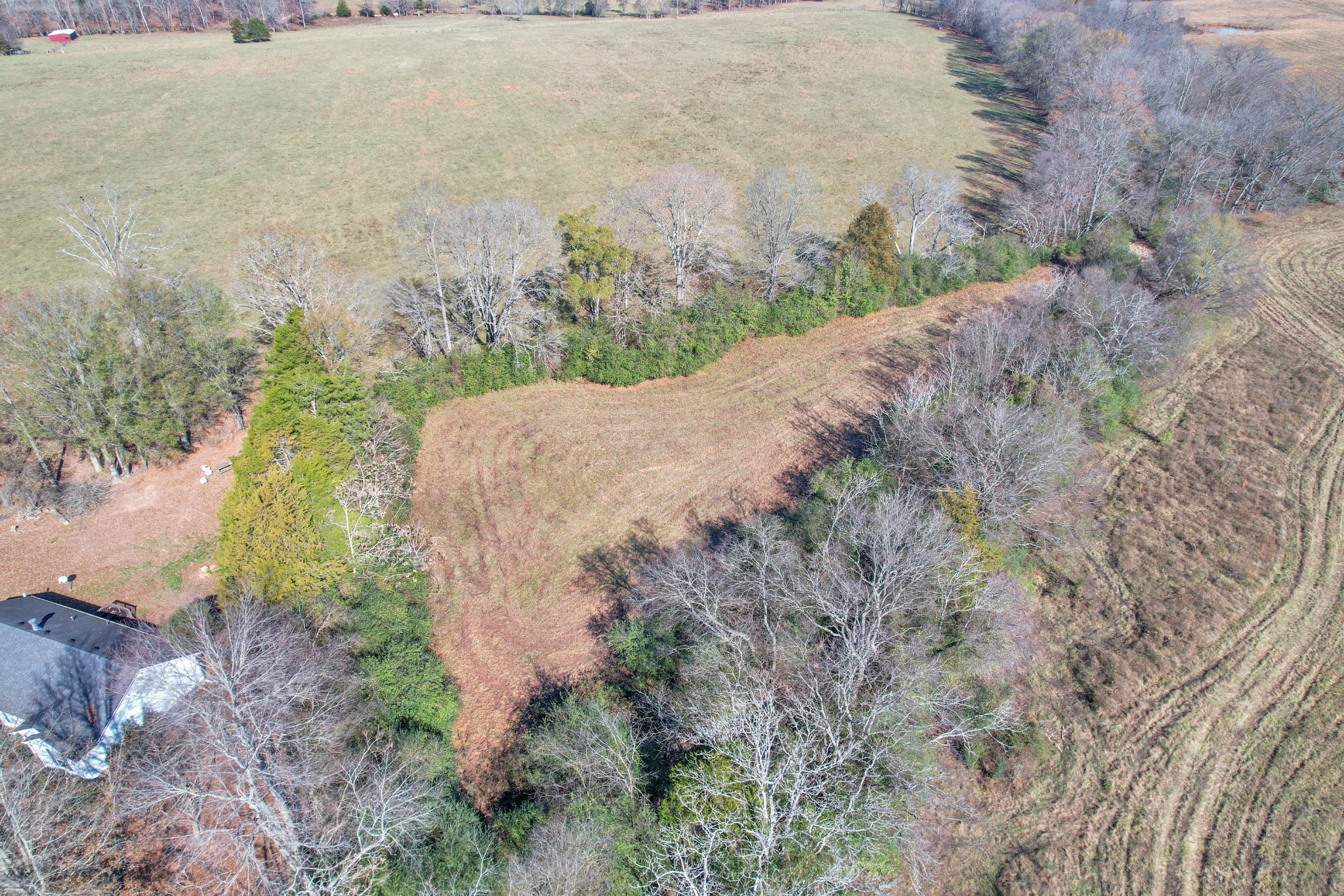 0 Turner Road Smithville, TN 37166 - Photo 29 of 34 a view of a dry yard