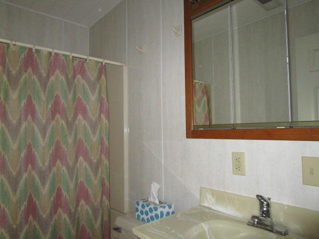 1115 Cleveland Street Elloree, SC 29047 - Photo 10 of 19 Guest Bath