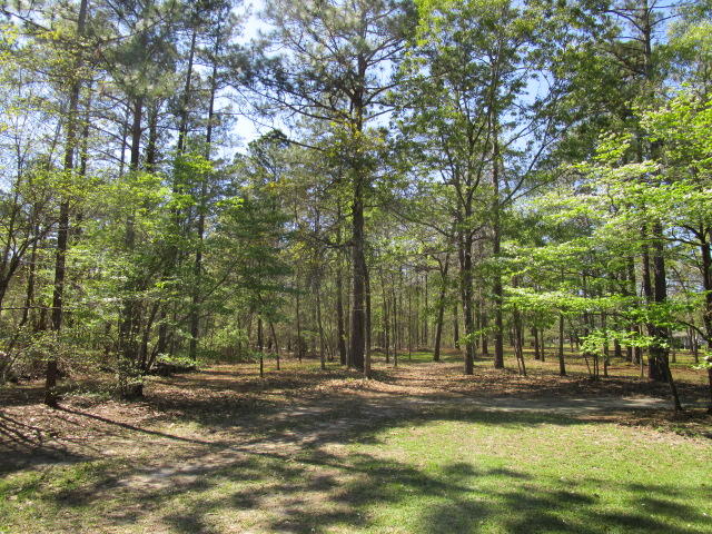 1115 Cleveland Street Elloree, SC 29047 - Photo 16 of 19 2.37 Acres
