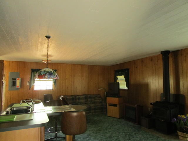 1115 Cleveland Street Elloree, SC 29047 - Photo 3 of 19 Wood Stove in Family Area
