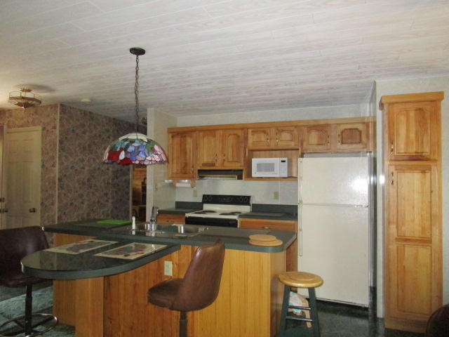 1115 Cleveland Street Elloree, SC 29047 - Photo 4 of 19 Kitchen & Breakfast Bar