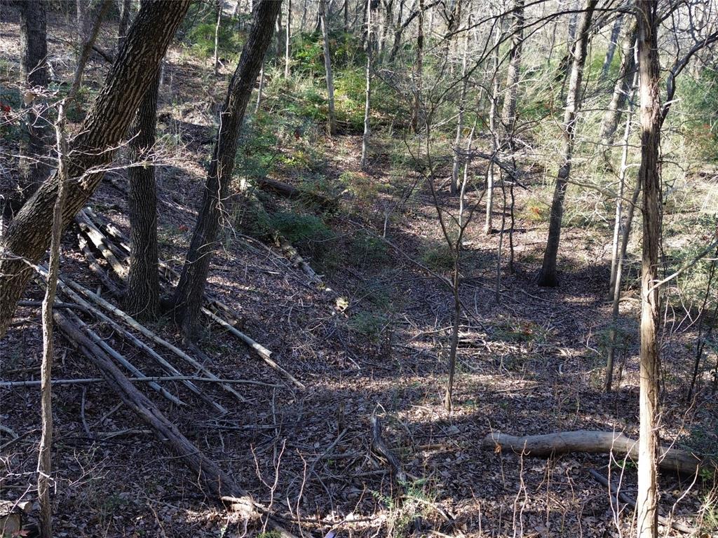 1917 Juniper Ridge Road Cedar Hill, TX 75104 - Photo 12 of 34