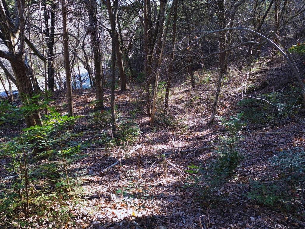 1917 Juniper Ridge Road Cedar Hill, TX 75104 - Photo 14 of 34