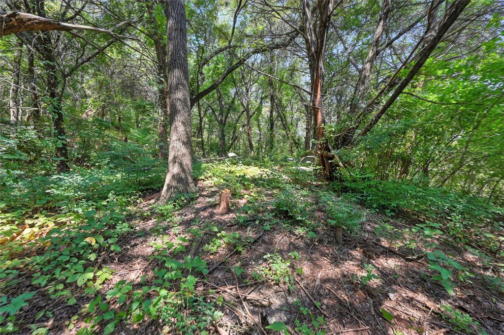 1917 Juniper Ridge Road Cedar Hill, TX 75104 - Photo 18 of 34 View of wooded area