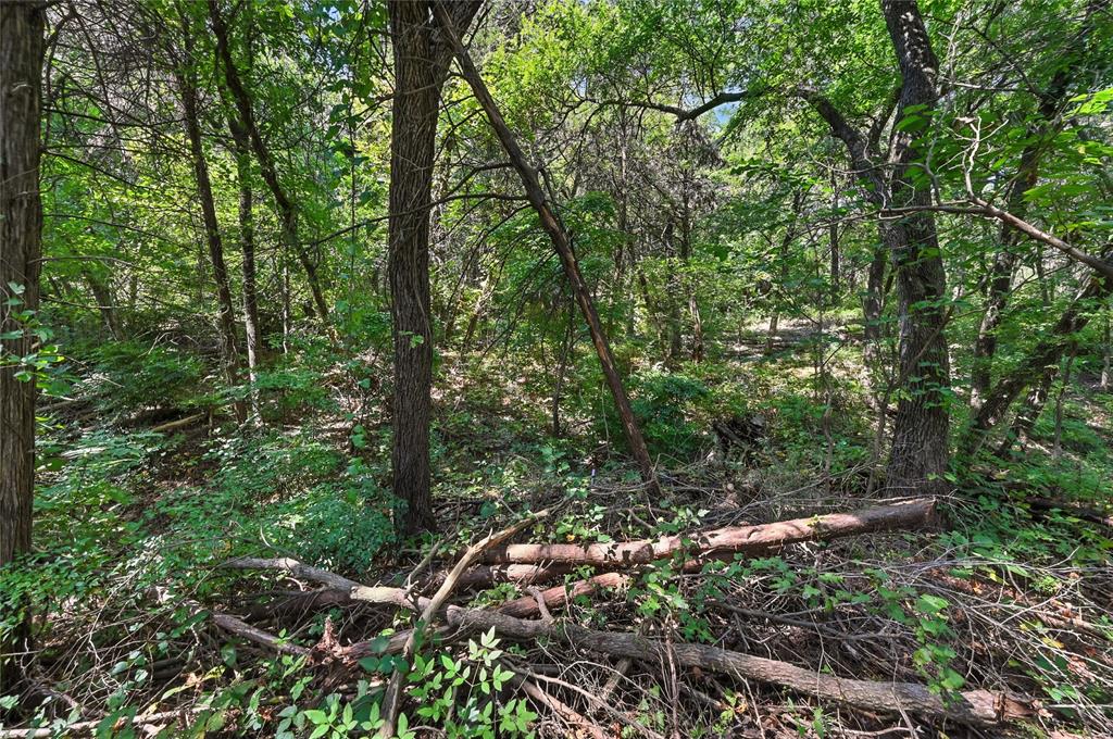 1917 Juniper Ridge Road Cedar Hill, TX 75104 - Photo 19 of 34 View of woods
